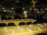 Reception at Pattison Park