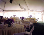 Wedding Reception on a Private Farm